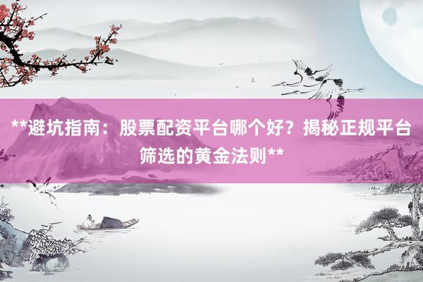 **避坑指南：股票配资平台哪个好？揭秘正规平台筛选的黄金法则**