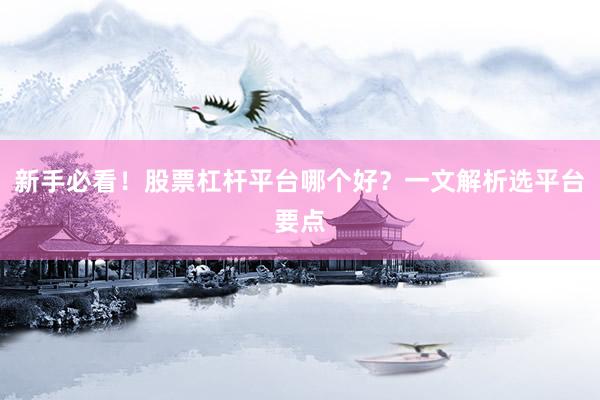 新手必看！股票杠杆平台哪个好？一文解析选平台要点