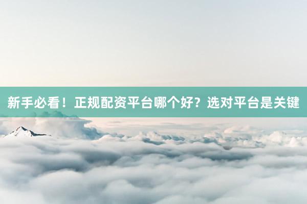 新手必看！正规配资平台哪个好？选对平台是关键