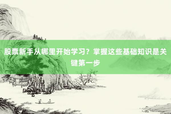 股票新手从哪里开始学习？掌握这些基础知识是关键第一步